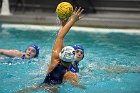 WWPolo vs CC  Wheaton College Women’s Water Polo compete in their sports inaugural match vs Connecticut College. - Photo By: KEITH NORDSTROM : Wheaton, water polo, inaugural